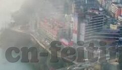 森林舞会狮子游戏机-森林舞会，狮子游戏机中的自然韵律与娱乐融合